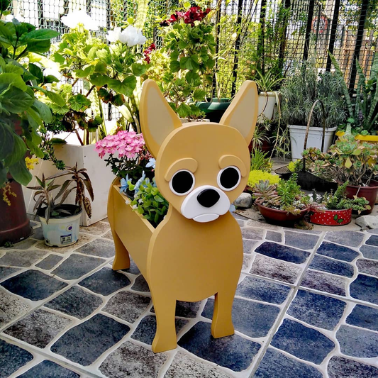 Chihuahua Planter