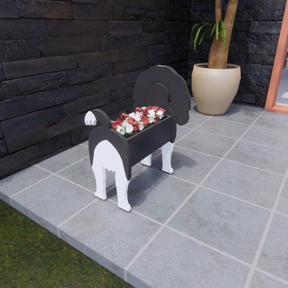 Cavalier King planter