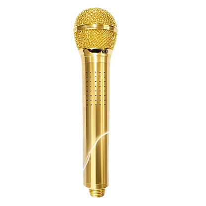 Creative Metal Shower Microphone